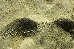 White Desert IMGP4368